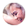 聯(lián)系我們
