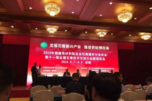 甘肅景泰金龍建材公司榮獲第十一屆全國石膏行業(yè)突出貢獻(xiàn)獎