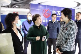 甘肅省委組織部副部長、人力資源和社會保障廳黨組書記、廳長周麗寧、白銀市副市長賈汝昌、景泰縣縣長張文玲等一行領導對金龍公司、諾克公司 視察指導工作